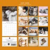 2026 Square Wall Calendar, Cat Portraits, 16-Month Black and White Photos with 180 Reminder Stickers (12x12 In) - 4 of 4