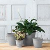 Novelty Artstone Dolce Round Pot Flower Planter - 3 of 4