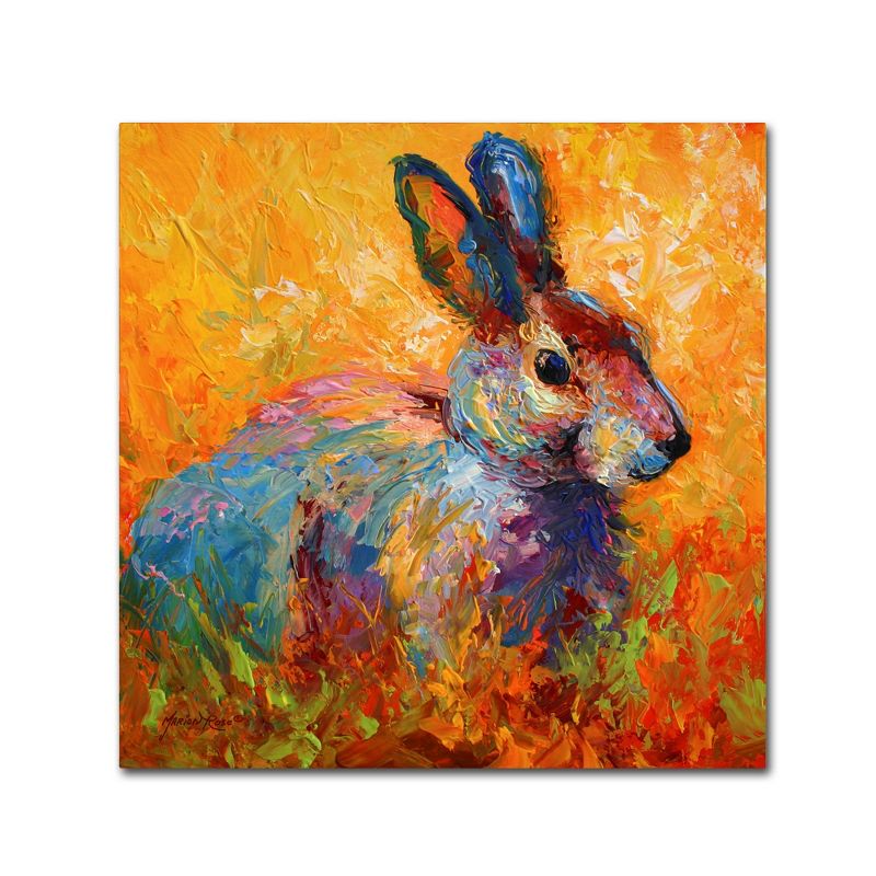 Trademark Fine Art -Marion Rose 'Bunny IV' Canvas Art, 2 of 4