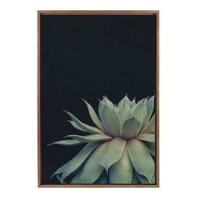 23" x 33" Sylvie Succulent Framed Canvas by F2 Images Gold - Kate & Laurel All Things Decor