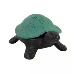Design Toscano Aesop's Turtle Cast Iron Statue : Target