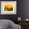 Trademark Fine Art - Mick Agterberg Close Up Details Of A Helianthus Matted Framed Art - image 2 of 4