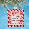 Cody Foster 4.0 Inch Organic Candy Canes Christmas Tree Ornament , Christmas Decor Boxed  10 Candy Canes (1PC) - 2 of 4