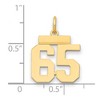 Black Bow Jewelry 14k Yellow Gold, Athletic Collection, Small Polished Number 65 Pendant - 2 of 3