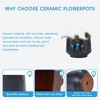 SpassWay 15" Dia Outdoor Indoor Ceramic Planter Pot Decorative Planter with Drainage Hole Patio Flower Pot - 4 of 4