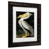 Trademark Fine Art - John James Audubon American White Pelican Matted Framed Art - 3 of 4