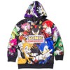 SEGA Sonic the Hedgehog Knuckles Shadow Tails Fleece Pullover Hoodie Little Kid to Big Kid - 3 of 4