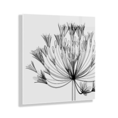 23" x 23" Bell Agapanthus X Ray Floral by The Creative Bunch Studio Unframed Wall Canvas - Kate & Laurel All Things Decor