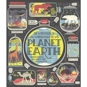 The Wondrous Workings of Planet Earth - by  Rachel Ignotofsky (Hardcover) - 1 of 1