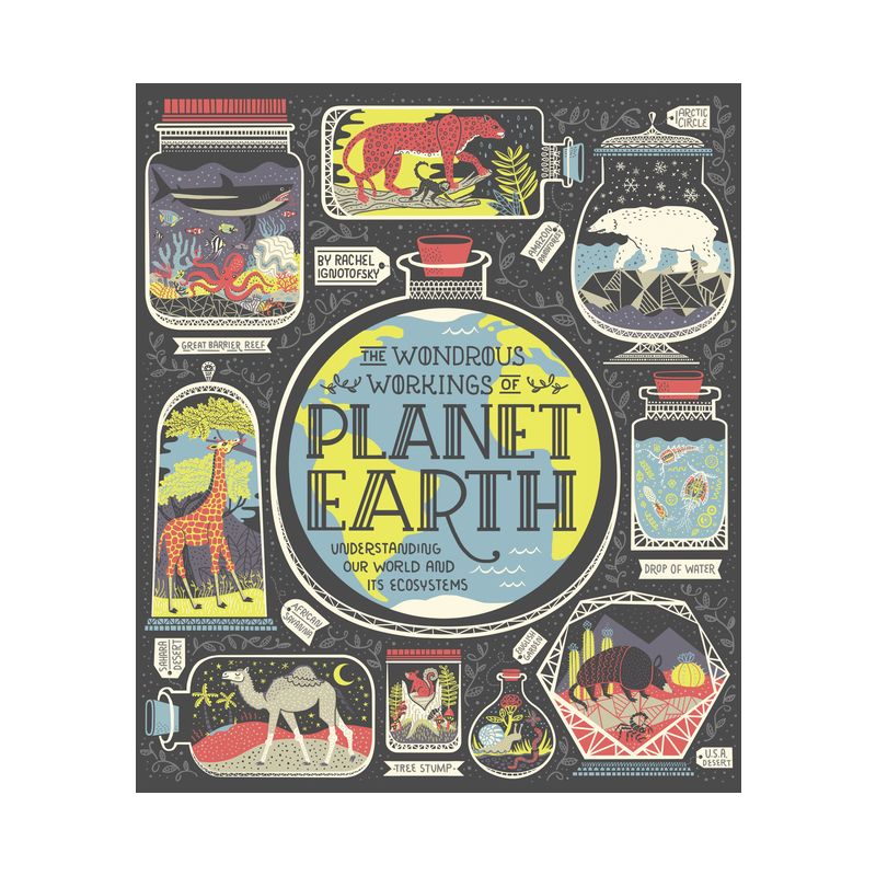 The Wondrous Workings of Planet Earth - by  Rachel Ignotofsky (Hardcover), 1 of 2