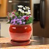 Southern Patio Wisteria 8 Inch Round Ceramic Indoor or Outdoor Garden Planter Pot with Saucer for Flowers and Plants, Red (3 Pack) - 3 of 4