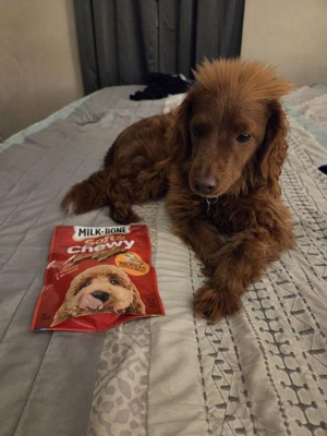 Guest review image 1 of 1, zoom in