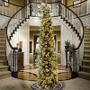 12' Prelit Slim Carolina Pine Artificial Christmas Tree Clear Lights - National Tree Company - 2 of 4