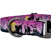Country Brook Petz Premium Dog Collar - Halloween Collection - 4 of 4