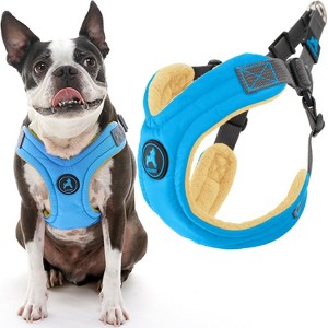 Gooby Escape Free Memory Foam Harness Blue, Large - 1 of 1