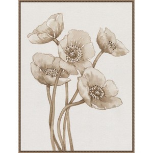 Amanti Art Poppies in Sepia II by Tim Otoole Framed Canvas Wall Art - 1 of 4