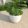 LeisureMod Tapered Round Planter Pot with Drainage Holes for Indoor/Outdoor Use - Dahlia Collection - 2 of 4