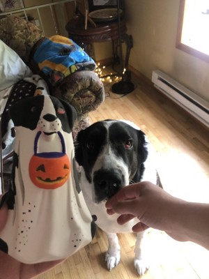 Guest review image 2 of 2, zoom in