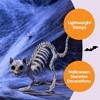 Joyfy 2 PCS Halloween Poseable Animal Cats Skeleton Decor, Cats Plastic Bones with Posable Joints for Graveyard Party Prop Decor(7 * 7.9 * 3 inches) - 3 of 4