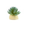 Unique Bargains Plastic Cactus Plant Terrarium Reptile Tank Habitat Decor for Reptiles Green - 2 of 4