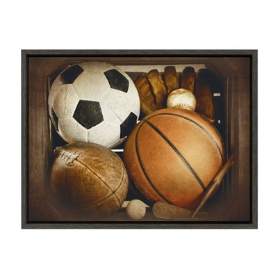 18" x 24" Sylvie Sports Gear Framed Canvas By Shawn St. Peter Gray - DesignOvation