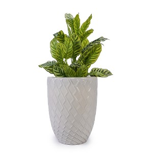 Gulches Large Ceramic Flowerpot Glossy Milk White, Modern Design, All Weather Durability, 16.54"x16.54"x21.26"H, Customizable - 1 of 4