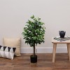 HomeStock  3 ft. Artificial Ficus Tree in Pot for Indoor/Outdoor - 3 of 3