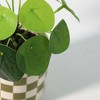 Luckygreenery Checker Planter with Faux Pilea Greenery Olive/Stucco - 2 of 3