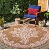 Beach House BHS292 UV & Stain Resistant Non-Shedding Power Loomed Indoor/Outdoor Rugs - Safavieh - 2 of 4