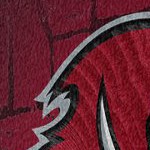 tampa bay buccaneers