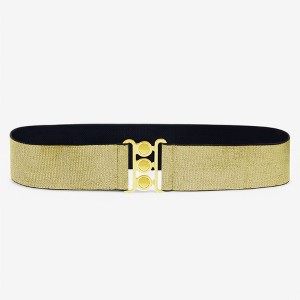 Anna-Kaci Wide Elastic Waist Belt with Gold Tone Clasp for Women - 1 of 4