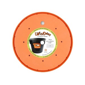 Bloem Ups-A-Daisy Flower Planter Insert, Orange - 1 of 1
