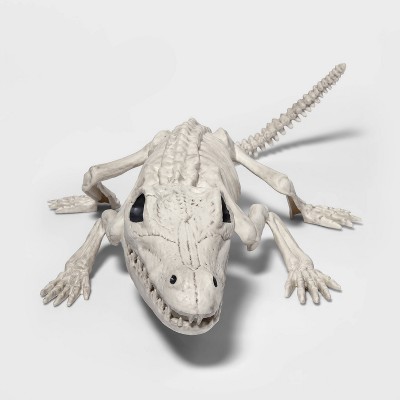 Crocodile Skeleton Halloween Decorative Prop - Hyde & EEK! Boutique™