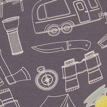 grayish blue and camping