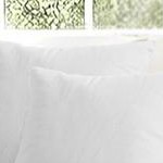 cream white-8*10ft