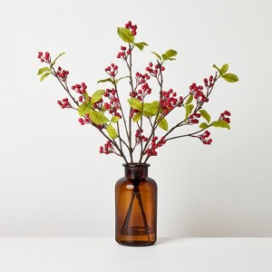 19" Red Berry in Amber Glass Artificial Arrangement - Hearth & Hand™ with Magnolia - 1 of 3