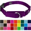 Country Brook Petz Heavy Duty Nylon Martingale Dog Collar with Deluxe Buckle - 30+ Vibrant Color Options - 2 of 4