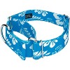 Country Brook Petz 1 1/2 Inch Martingale Dog Collar - Summer Breeze Collection - 2 of 4