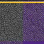 minnesota vikings