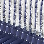 dark blue ash and light blue ash