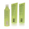 Aveda Be Curly Shampoo 8.5 oz, Be Curly Conditioner 6.7 oz, & Be Curly Curl Enhancer 6.7 oz Combo Pack - 4 of 4