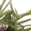 HomeRoots 24" Green And Brown Christmas Pine And Pinecone Artificial Wreath - 4 of 4