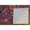 Rawlins Transitional Oriental Red/Orange/Blue Area Rug - 4 of 4