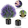 Vitalismo 1.8ft/21.6in Artificial Lavender Ball Topiary Faux Potted Plants No Maintenance Fake Lavender Bushes Home/Office Decoration set of 2 - 3 of 4