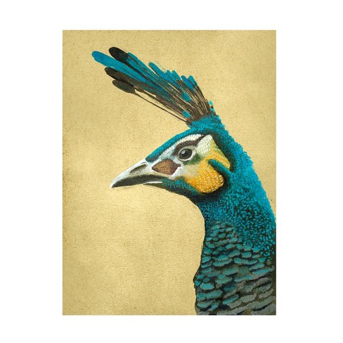 Trademark Fine Art - Katie O'shea Peacock Profile I Canvas Art - 14 X ...