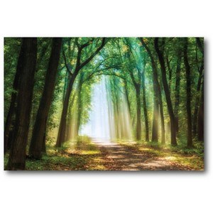 Courtside Market Emerald Enchanted Forest Gallery-Wrapped Canvas - 1 of 4