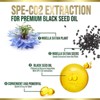 Black Seed Oil Softgels 1000mg - Premium Nigella Sativa Blackseed, Pure Natural Black Cumin Seed Oil & Antioxidant for Skin - 180 Softgels - 2 of 4