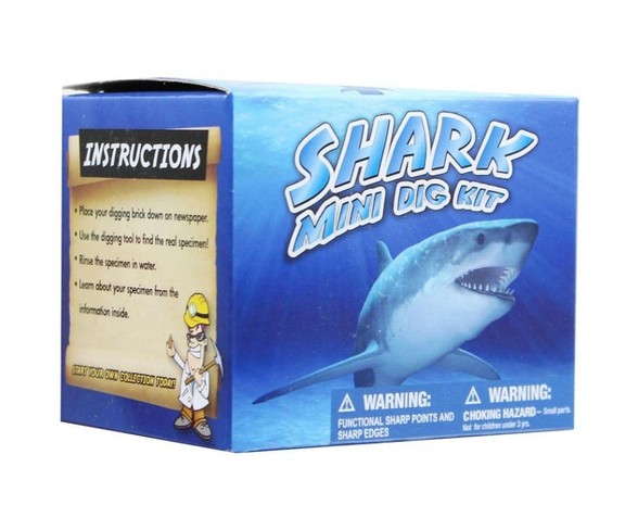 Mini Shark Teeth Dig Science Kit
