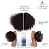 Alterna CAVIAR Anti-Aging Replenishing Moisture CC Cream | 10-in-1 Hair Protection & Treatment Cream | (3.4 oz) - 3 of 4
