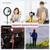 Craze Ventures Portable Light Tripod with Ball Head - 4 of 4